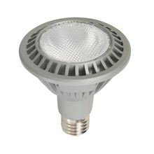 Bombillo Led Par30  Gris