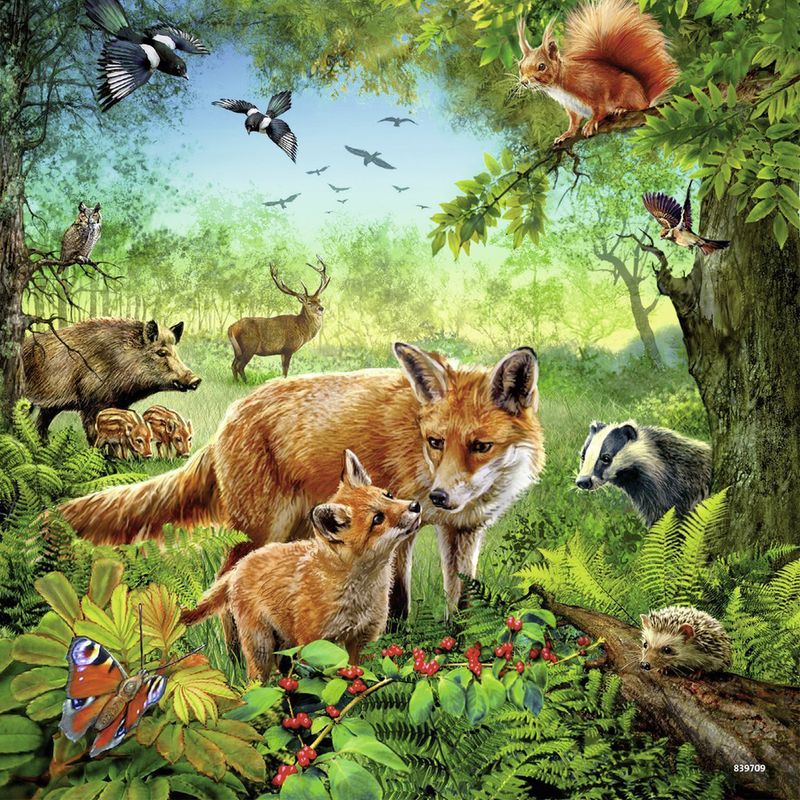 Rompecabezas-3x-49-piezas-animales-de-la-tierra-Ravensburger-4-727