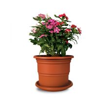 Maceta Roble #1 c/base Reyplast