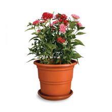 Maceta Roble #3 c/base Reyplast