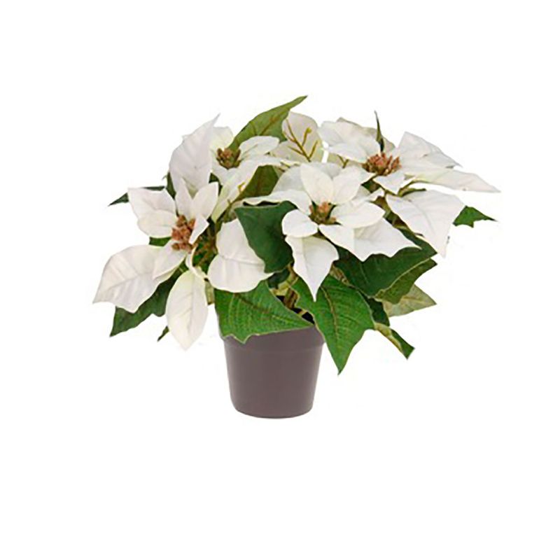 Flores-de-Navidad-en-Maceta-25-cm-1-10802