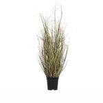 Hierva-de-mar-en-maceta-63cm-1-13447
