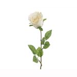 Rosa-en-tallo-Rose-crema--Rosa-en-tallo-Rose-crema-1-14966