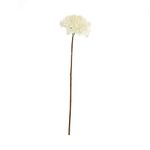 Hortensia-blanca-1-16059