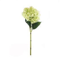 Hortensias artificial color Verde