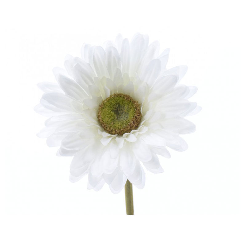 Flor-gerbera-en-tallo-color-blanco--Flor-gerbera-en-tallo-color-blanco-1-17086