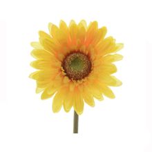 Flor gerbera en tallo color amarillo 50 Cm