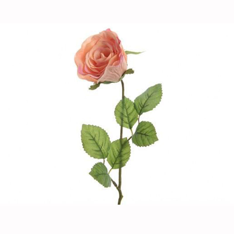 Rosa-en-tallo-melon-7X45CM-1-17098