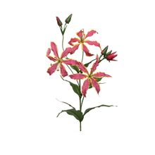 Flor gloriosa en tallo rosada