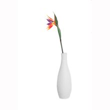 Flor esterilizia en tallo color naranja