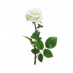 Rosa-en-tallo-color-blanco-66-Cm--Rosa-en-tallo-color-blanco-66-Cm-1-17260