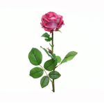 Rosa-en-tallo-color-fucsia-66-Cm-1-17261