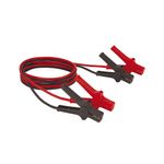 Cables-para-pasar-Carga-Bateria-BT-BO-16-1-A-Einhell-1-21140