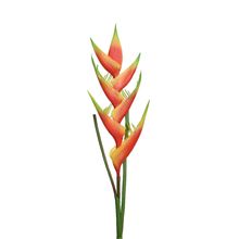 Flor Strelitzia en tallo 4x11x80cm Naranja