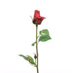 Rosa-en-tallo-48cm-Roja-1-23356