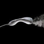 Plancha-a-Vapor-Port-til-2-en-1-Br-gmann-4-24743
