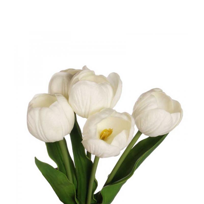 Ramo tulipanes Blancos