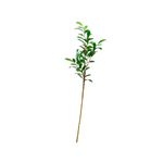 Hoja-decotrativa-24-1-29555
