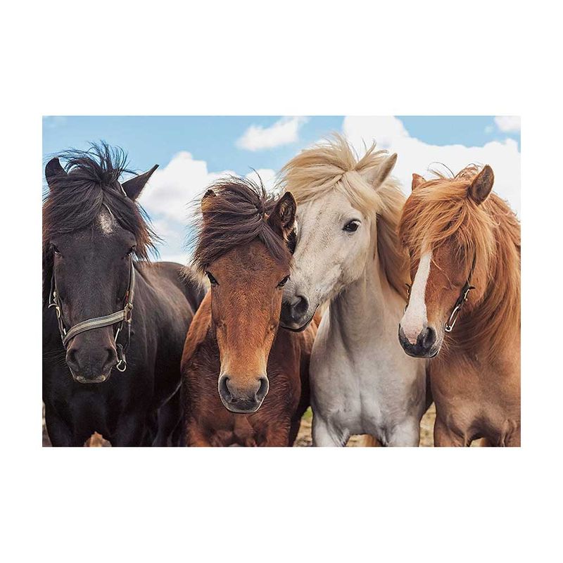 Figura-de-caballos-2x24pzs-3-30254