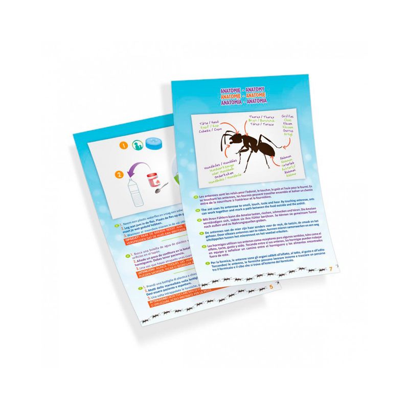 Mini-mundo-de-hormigas-3-30385