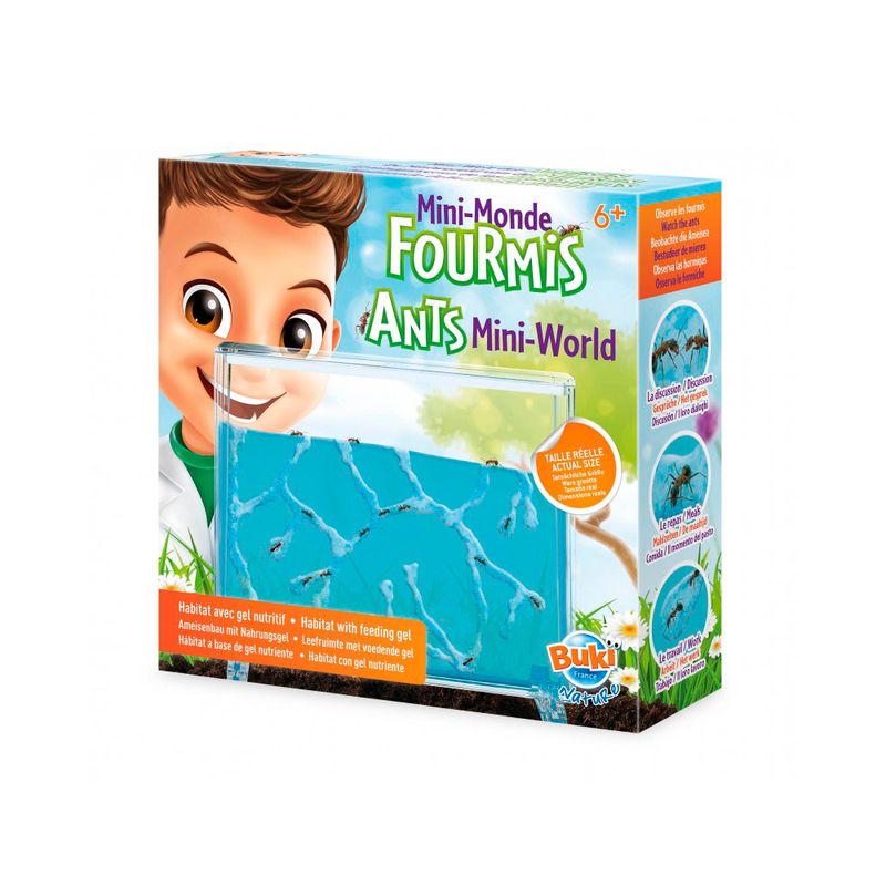 Mini-mundo-de-hormigas-1-30385