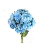 Hortensias-artificial-Azul-2-30734