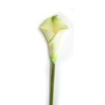 Planta-artificial-calla-Lily-36-cm-2-30737