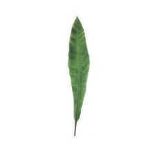 Hoja Apista