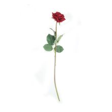 Rosa artificial color Roja