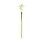 Planta-artificial-calla-Lily-36-cm-1-30737