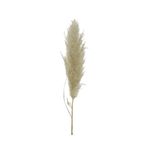 Flores-secas-decorativas-Caf-115-cm-1-31257
