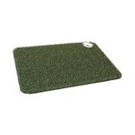 Piso-entrada-con-marco-verde-claro-Piso-entrada-con-marco-verde-claro-1-31323