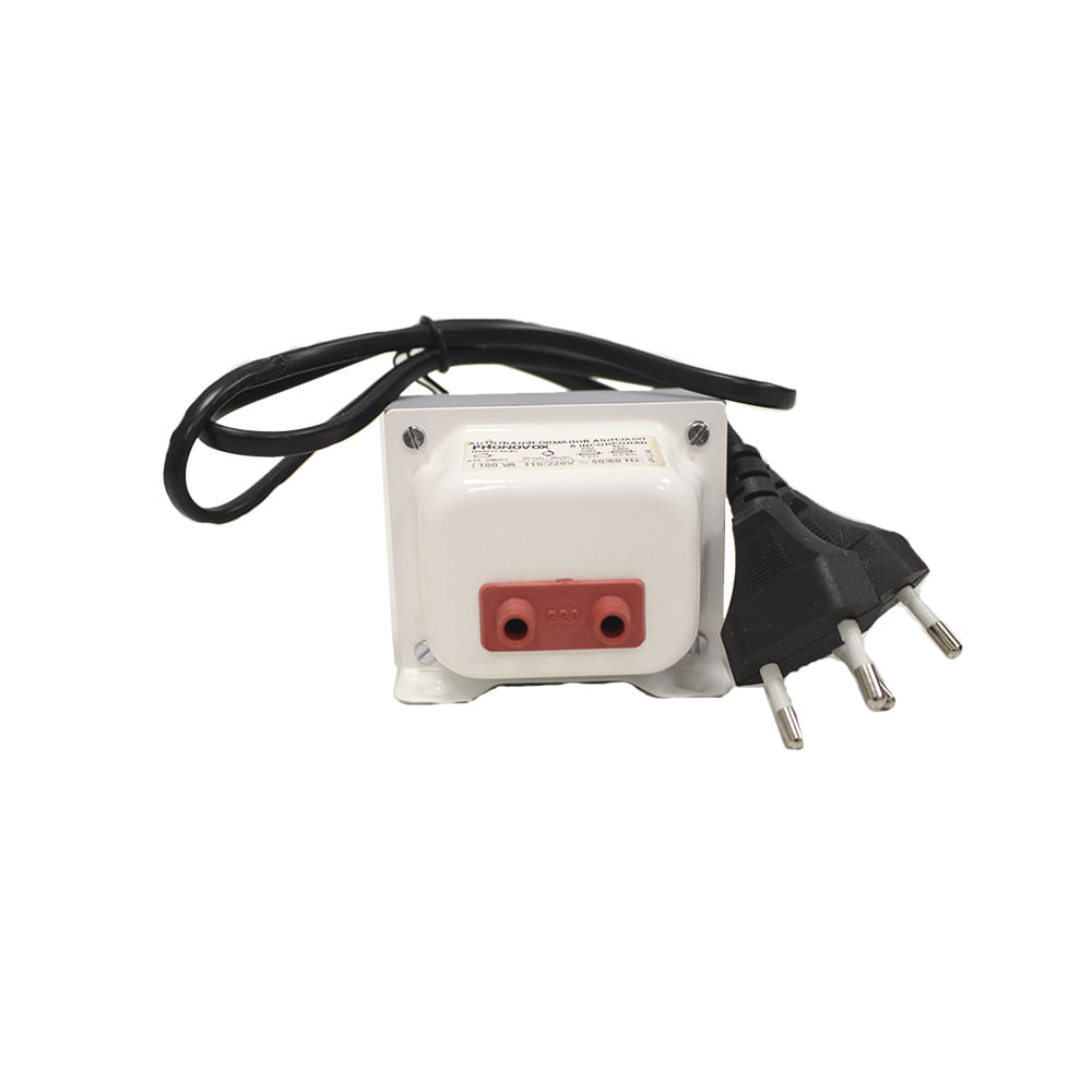 Transformador 100 w, image size:1000x1000