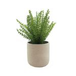 Pinus-artificial-en-maceta-de-cemento-1-32034
