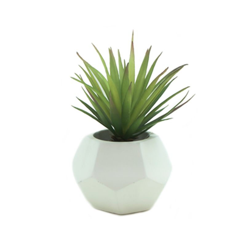 Hierba-espada-de-maceta-gem-trica-de-cemento-1-32037