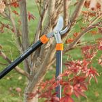 Tijera-podadora-71-12cm-3-35588