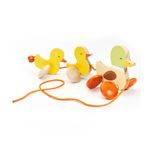 Patitos-de-Madera-2-35864