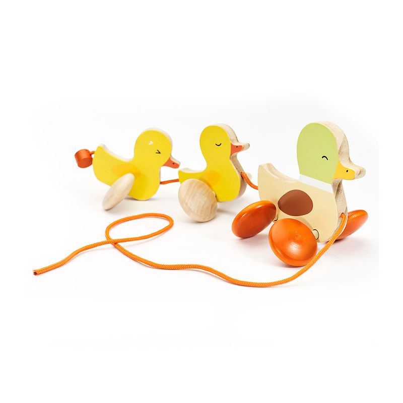 Patitos-de-Madera-2-35864
