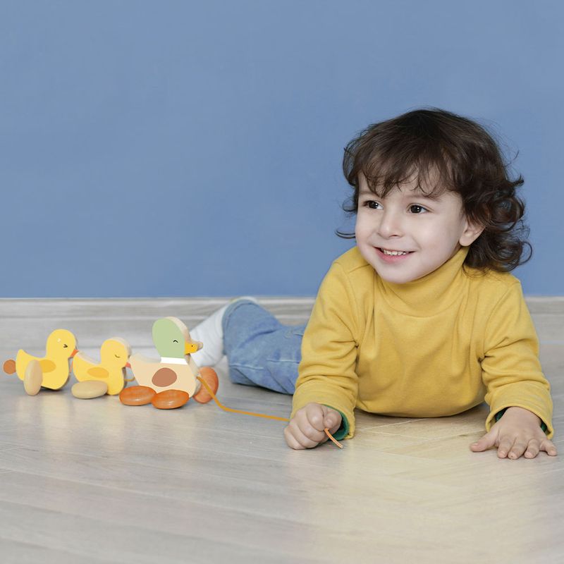 Patitos-de-Madera-5-35864