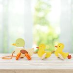 Patitos-de-Madera-6-35864