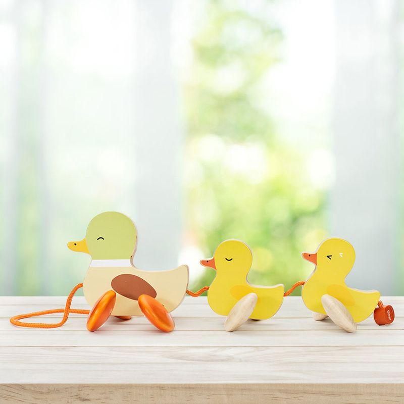 Patitos-de-Madera-6-35864