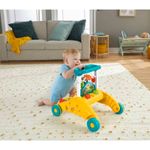 Andadera-de-2-lados-primeros-pasos-Fisher-Price-Andadera-de-2-lados-primeros-pasos-Fisher-Price-2-36233