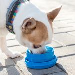 Correa-para-perros-multiuso-6-en-1-9-38361