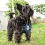 Colgador-Anti-par-sitos-ultrasonidos-para-mascotas-2-38493
