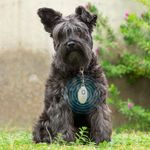Colgador-Anti-par-sitos-ultrasonidos-para-mascotas-1-38493
