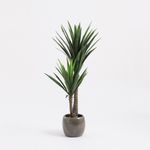 Maceta-decorativa-gris-oscuro-14x16-cm-Laster-2-38589
