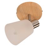 L-mpara-de-Techo-Acero-Vidrio-1-luz-E14-40w-N-quel-Sat-n-1-38633