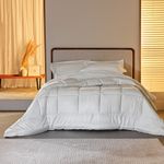 Edred-n-Sue-o-Intenso-King-Blanco-2-39251