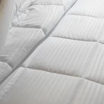 Edred-n-Sue-o-Intenso-King-Blanco-3-39251