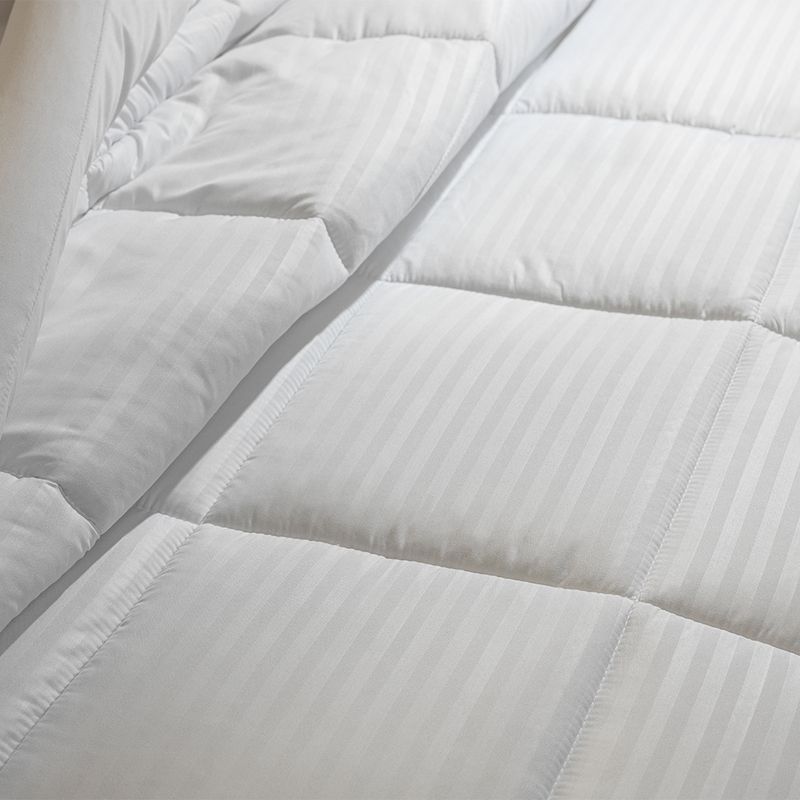 Edred-n-Sue-o-Intenso-King-Blanco-3-39251